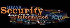 Information Security Wordle: NIST HIPAA Securi...